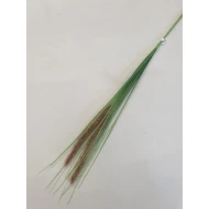 PENNISETUM BRUIN 80CM