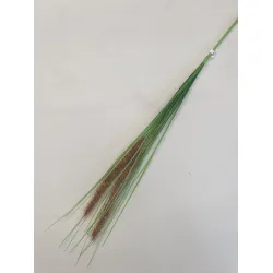 PENNISETUM BRUIN 80CM