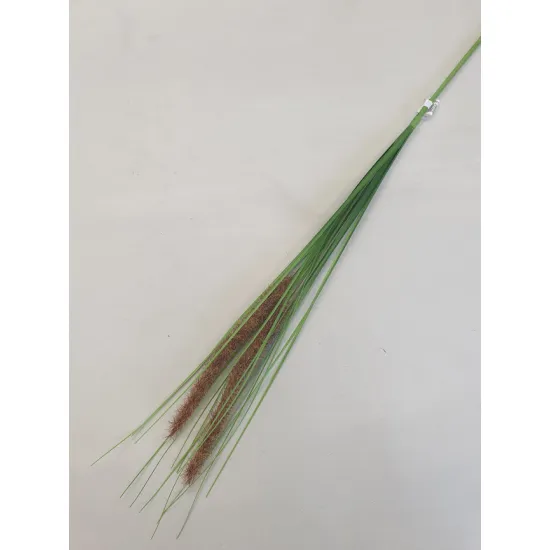 PENNISETUM BROWN 80CM