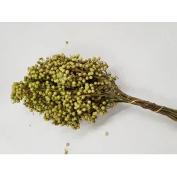 PEPPERBERRY VERT CLAIR SMALL BOPP/kraft emballage hobby