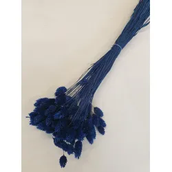 PHALARIS BLEU +/-50GR BOPP/kraft emballage hobby