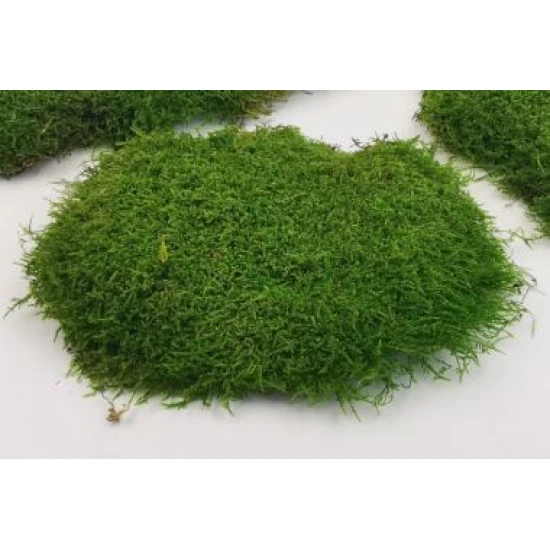 PLAT MOS REFURBISH SPRAY 400ML