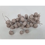 PLATAANBOLLEN CHAMPAGNE 1/2