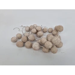 FRUIT DE PLATANE BLANC 1/2