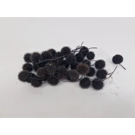 FRUIT DU PLATANE NOIR