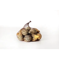 POMPOEN MINI (PUMPKIN) NATUREL 12ST