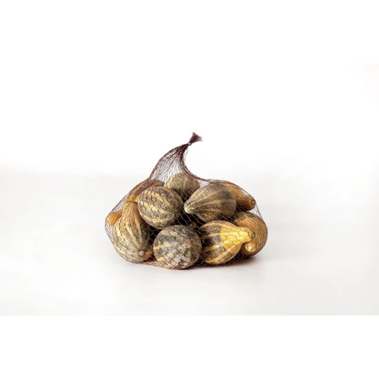 PUMPKIN MINI NATURAL 12PCS