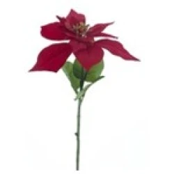 POINSETTIA SPRAY BADEN ROOD 60CM  