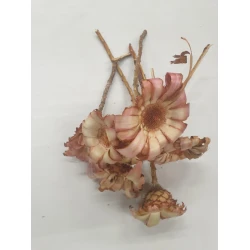 PROTEA NERIFOLIA HEAD ROSE 7PCS BOPP/kraft emballage hobby