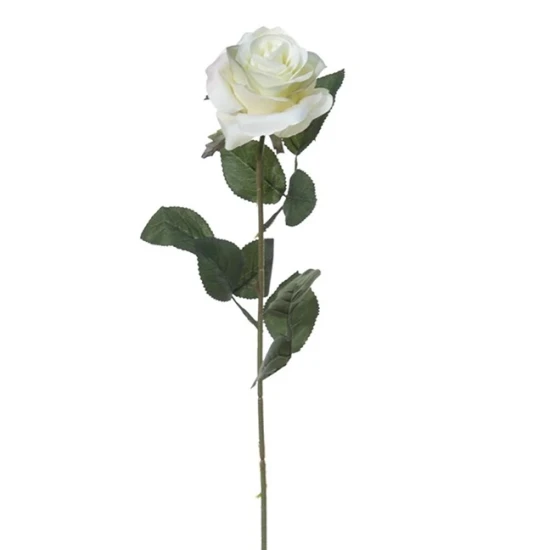 ROSE 66CM CREAM