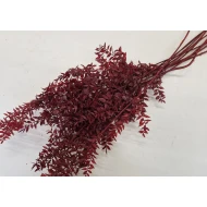 RUSCUS BORDEAUX+/-200GR BOPP/kraft hobbyverpakking