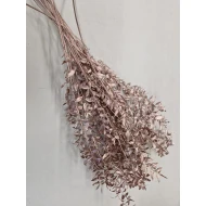 RUSCUS ROSE GOLD +/-100GR BOPP/kraft hobbyverpakking