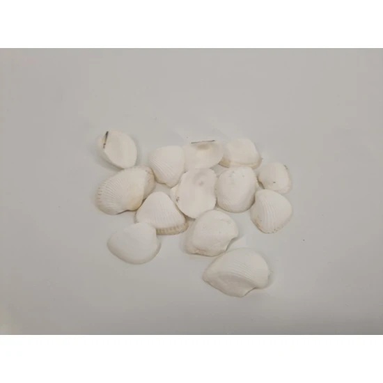 COQUILLES ARCA ARCA +/-150GR