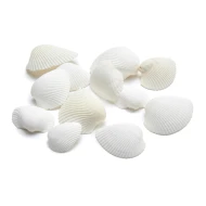COQUILLES ARCA ARCA +/- 1KG