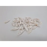 SCHELPEN CERTHIUM VERTAGUS 650GR