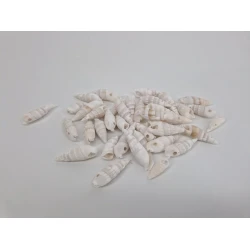 SCHELPEN CERTHIUM VERTAGUS 650GR