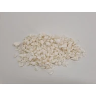 SHELLS COCKLE MINI WHITE +/-1KG