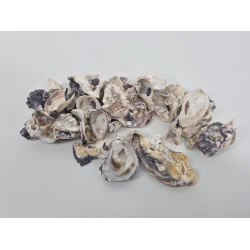 COQUILLES HUITRES (CRASSOSTREA GIGAS) +/-200GR