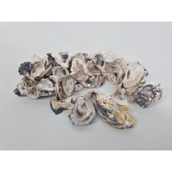 COQUILLES HUITRES (CRASSOSTREA GIGAS) +/-200GR