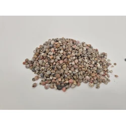 SHELLS PAMBOOKAN +/-200GR