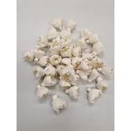 SHOLA PIOEN 4CM NATUREL 40ST