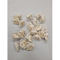 SHOLA PEONY 6CM NATURAL 20PCS
