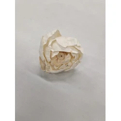 SHOLA PEONY 8CM NATURAL 10PCS