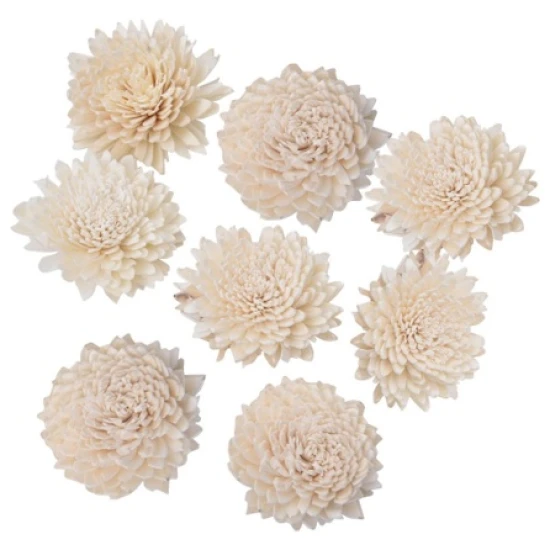 SHOLA ZINNIA 6CM NATURAL 10PCS