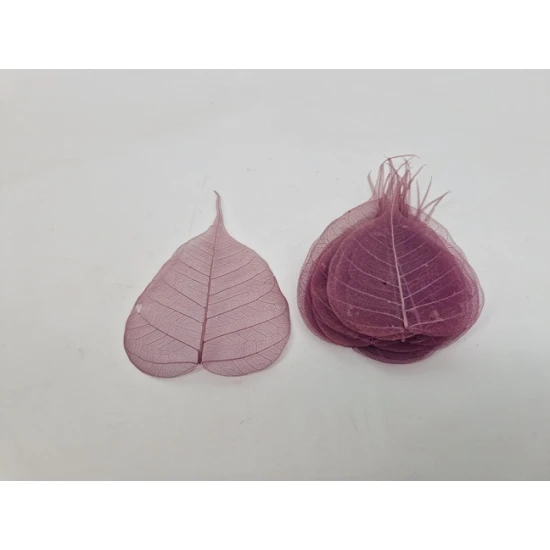 SKELETON LEAF AUBERGINE