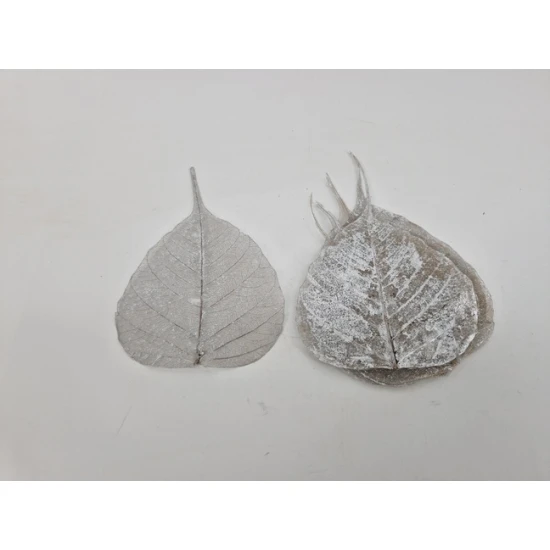 SKELETON LEAF SILVER 100PCS