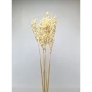 SORGO BLANCHI 5PCS BOPP/kraft emballage hobby