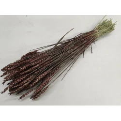 WHEAT DARK BROWN 1/2 BOPP/kraft Small packaging