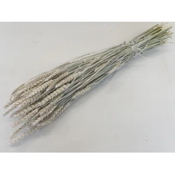 WHEAT FROSTED WHITE 1/2 BOPP/kraft Small packaging