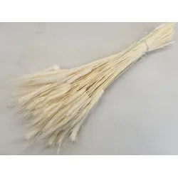 TRITICALE BLEACHED 1/2 BOPP/kraft Small packaging