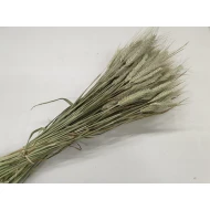 TRITICALE NATUREL 1/2 BOPP/kraft hobbyverpakking