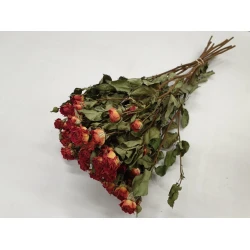 ROSES SPRAY ORANGE NATUREL 1/2 BOPP/kraft emballage hobby