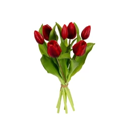 TULP BUNDEL 30CM ROOD