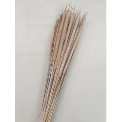 TYPHA LARGE WHITE WASH +/- 50PCS