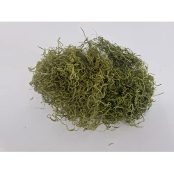TISLANDSIA (TILLANDSIA) APPELGROEN +/-200GR