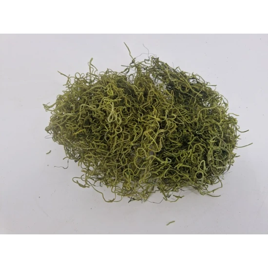 TISLANDSIA (TILLANDSIA) VERT POMME +/-200GR