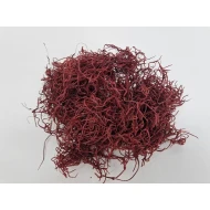 TISLANDSIA (TILLANDSIA) BORDEAUX +/-30GR