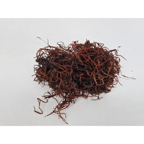 TILLANDSIA  (TILLANDSIA) BROWN +/-200GR