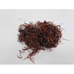 TILLANDSIA  (TILLANDSIA) BROWN +/-30GR