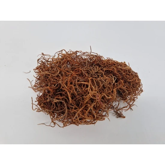 TISLANDSIA (TILLANDSIA) COGNAC +/-200GR