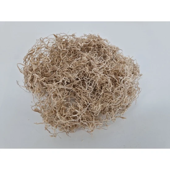 TILLANDSIA (TILLANDSIA) BLEACHED +/-200GR