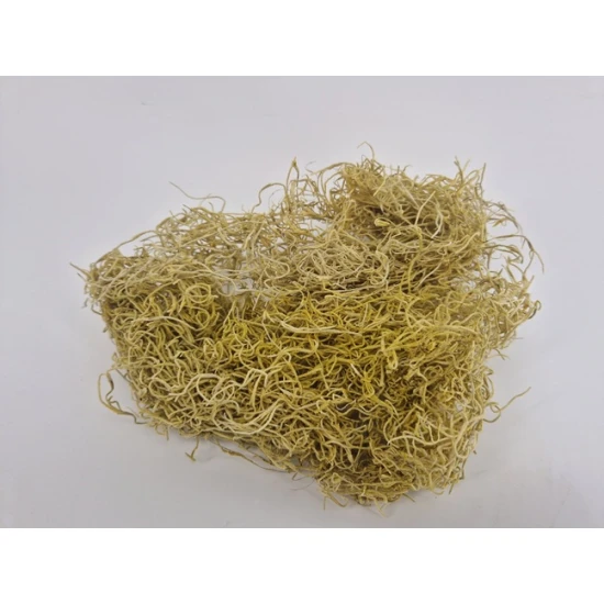 TILLANDSIA (TILLANDSIA) YELLOW +/-200GR