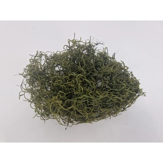 TILLANDSIA (TILLANDSIA) MOSS GREEN +/-200GR