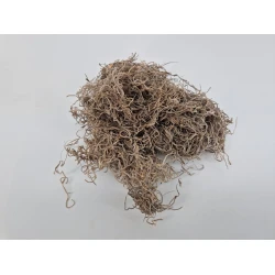 TISLANDSIA (TILLANDSIA) NATUREL +/-30GR