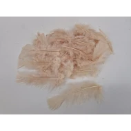 FEATHERS FLATS BEIGE +/-10GR