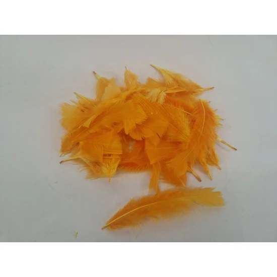 FEATHERS FLATS ORANGE (EGG YOLK YELLOW) +/-45GR